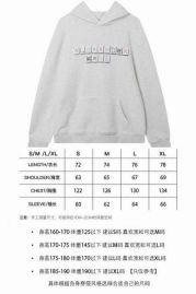 Picture of Alexander Wang Hoodies _SKUAlexanderWangS-XLWA069602